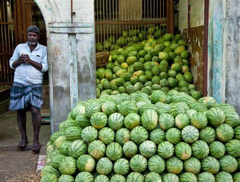 indian watermelon guy|More.